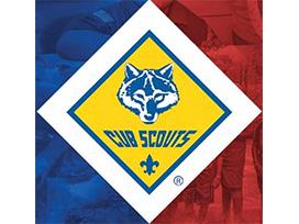 Cub Scouts 